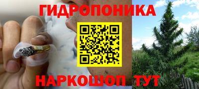 скорость Гусиноозёрск