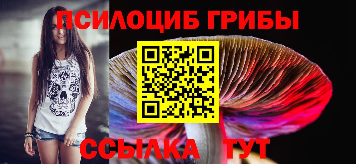 Грозный  Галлюциногенные грибы мухоморы  Вход с VPN 